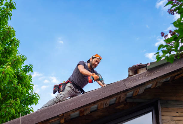Best Metal Roofing Installation  in Lennox, CA